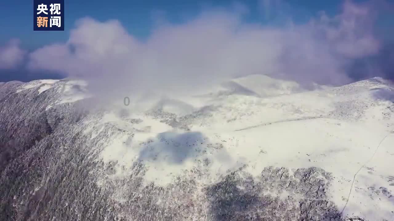 解锁知识星球uc历史记录恢复,拥抱无限可能!